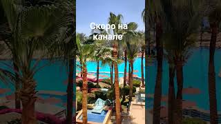 Популярная пятёрка на первой береговой Grand Rotana Resort &amp; Spa