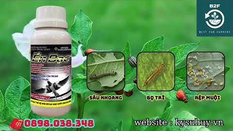ÉN BẠC – DIỆT TRỪ SÂU,RẦY,RỆP KHÁNG THUỐC - 0898.038.348 #enbac