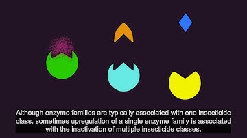 Resistance101 - Cross resistance