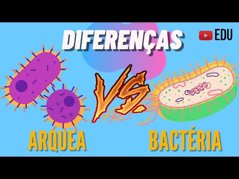 Vídeo: As bactérias e as arqueas são unicelulares?