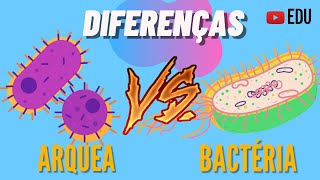 Arqueas E Bactérias - Diferenças Animação