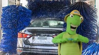 Don't wash your car in your driveway!