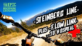 Steinberg Line Leogang | Flow Link 😱Crash to Hospital | Bikepark Leogang | 4K | GoPro | POV