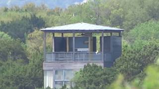 Sounds of Whippoorwill Cove April 1st ,2018 screenshot 4