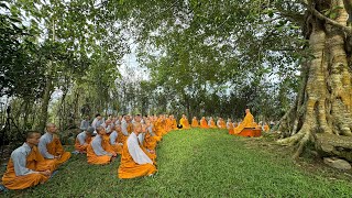 Nghi Thức NIKAYA - 10 Giới Sa Di ( 11.09.2024)