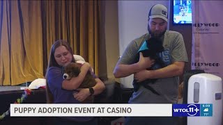Planned Pethood holds adoption event at Hollywood Casino
