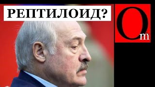 Ложь таракана о самолете Ryanair. Лукашенко опозорился в прямом эфире