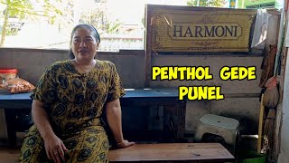 Beautiful and punel Jintel in the Village of Lek Safarun Kyai Lucu in Kedungadem Bojonegoro.