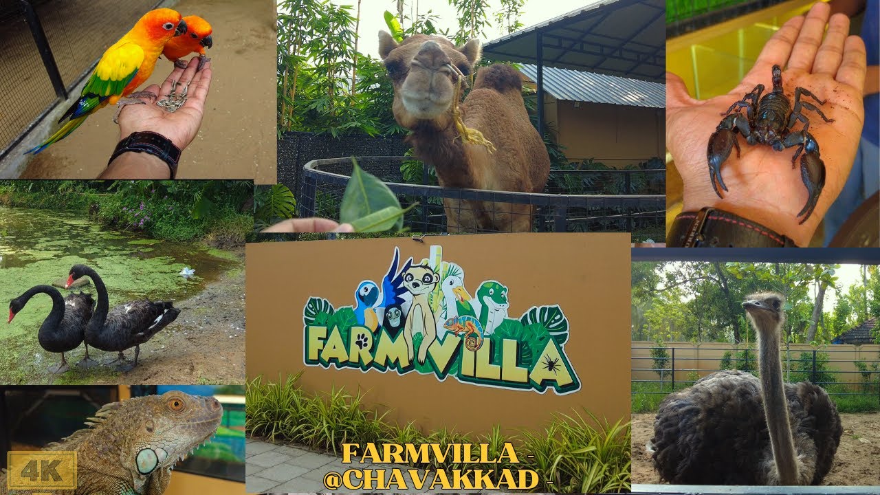 ഫാം വില്ല; ചാവക്കാട് 🤩 | Farm Villa Chavakkad  | Farm house | Exotic Farm Villa Thrissur | 4K