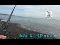 和歌山県の人気ポイントでカゴ釣りしてみると 「和歌山県　遠投カゴ釣り」 Mp3 Song