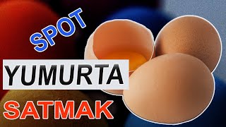 SPOT YUMURTA SATARAK PARA KAZANMAK- İş Fikirleri