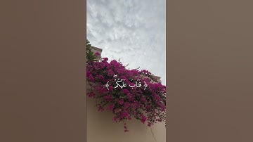 ((والله يقدر الليل والنهار علم ان لن  تحصوه فتاب عليكم ))تلاوة عبد الرحمن مسعد