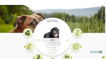 Haustiere - Pets Store RTL WooCommerce WordPress Theme        Farley