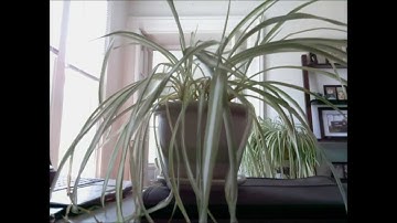 Raspberry Pi Time-lapse Photography.