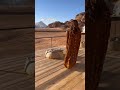 بشار السرحان بشار السرحان