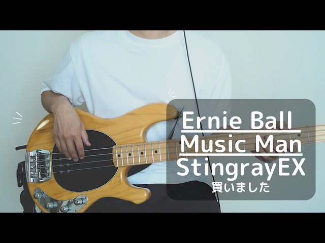 MNG】ジ◯ティーで出会った最高のスティングレイEXを紹介します