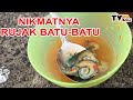 Nikmatnya rujak batu batu tvne bali