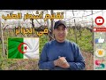 La Taille de la vigne 🍇🍇تقليم أشجار العنب في الجزائر