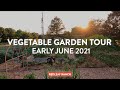 Full Vegetable Garden Tour - Early June 2021