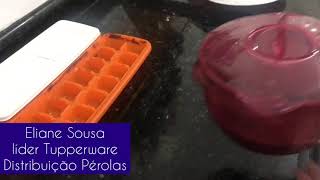 Forma para gelo e Jarra Microplus TUPPERWARE