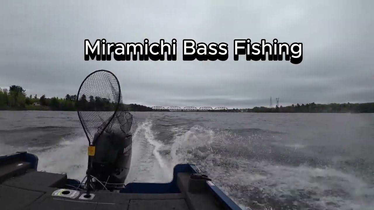 Miramichi Bass Fishing