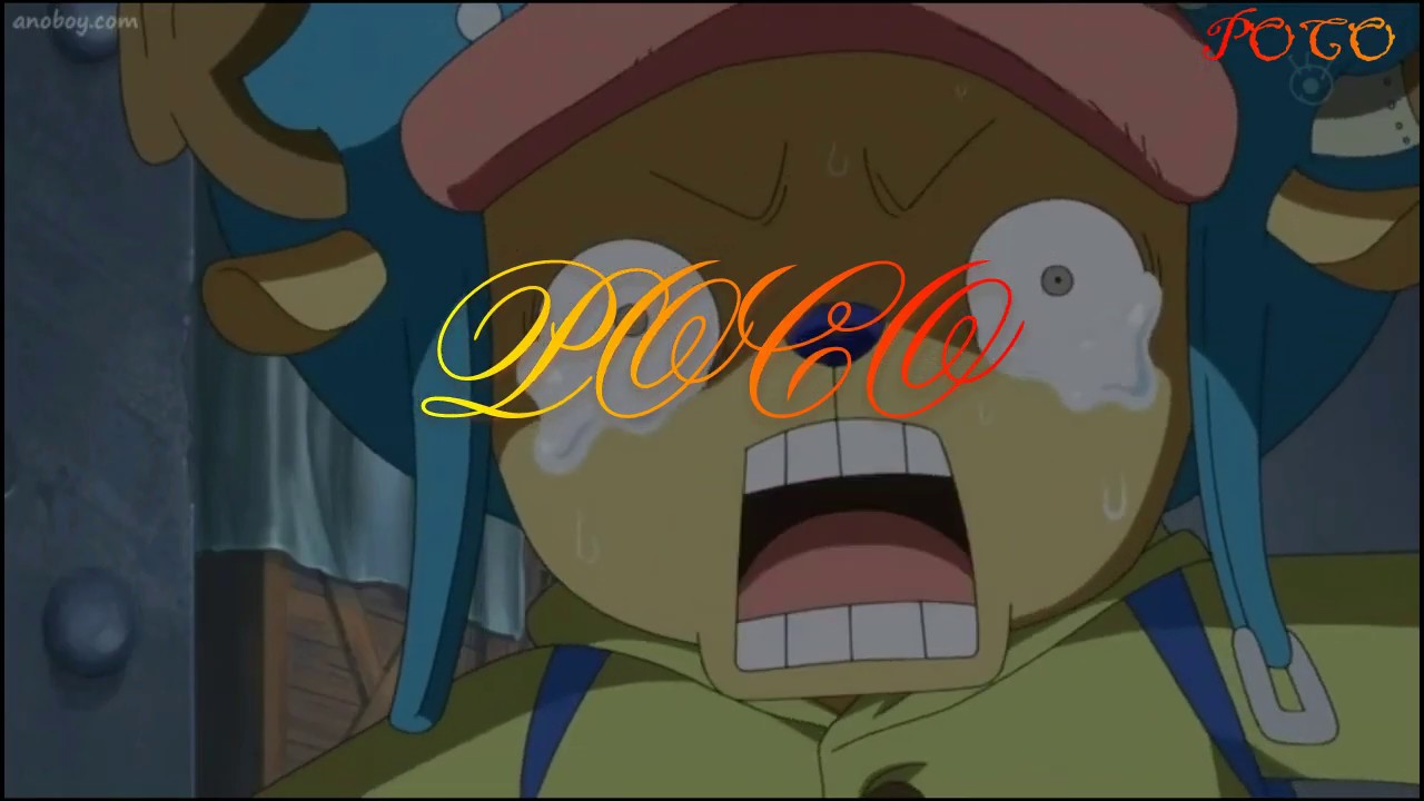 Intro Poco Chan Untuk One Piece