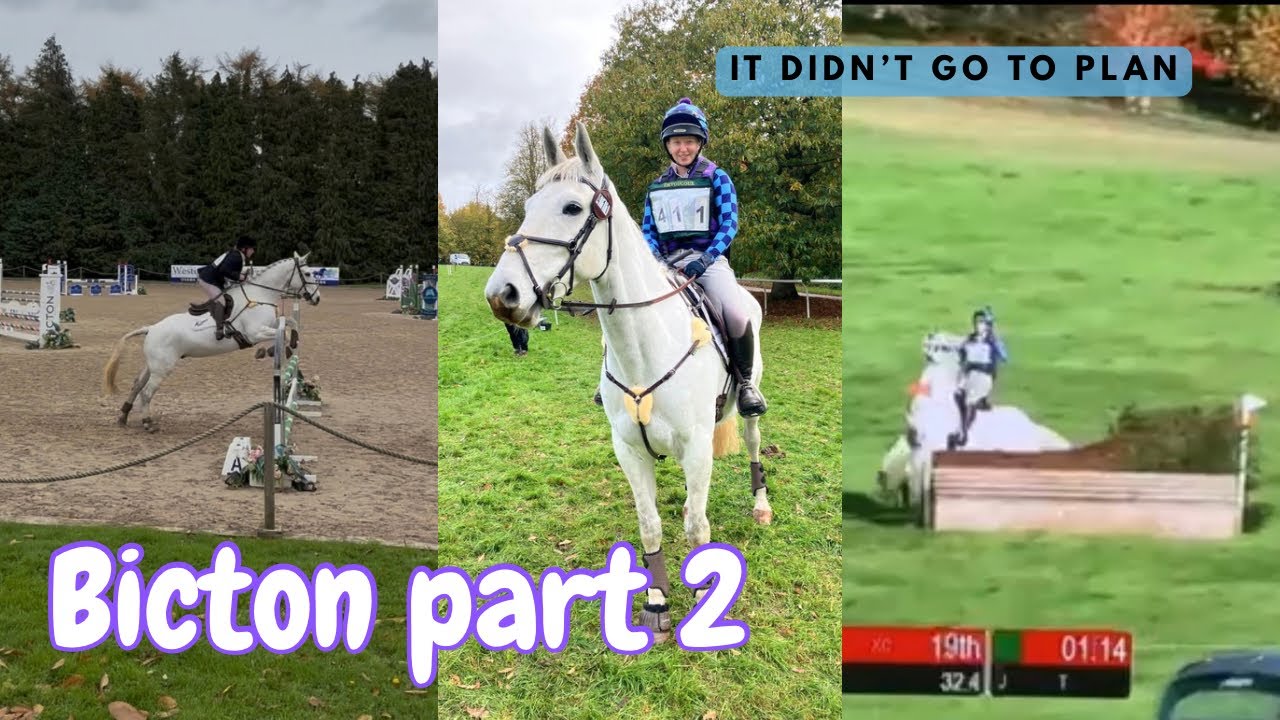 Bicton part 2 ~ the not so good bits