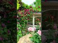 حدائق الورود في مدينة يوكوهاما هاربور فيو بارك و ياماشيتا بارك Rose Gardens In Yokohama City 