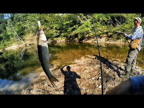 შემოდგომის ქაშაპი პოპერზე 2023 (Kot FishingTv \u0026 Ramazi Fishing)