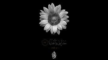 حالات واتس اب قرآن تلاوة خاشعة جميلة جدا 😌❤ بصوت يريح القلب سورة النبـأ