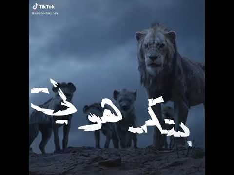 حالات واتس اب يلي عاملين بتحبوني