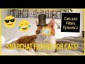 TRYING SNAPCHAT FILTERS FOR CATS! (Super Cute!) Cats and Filters, Episode 2