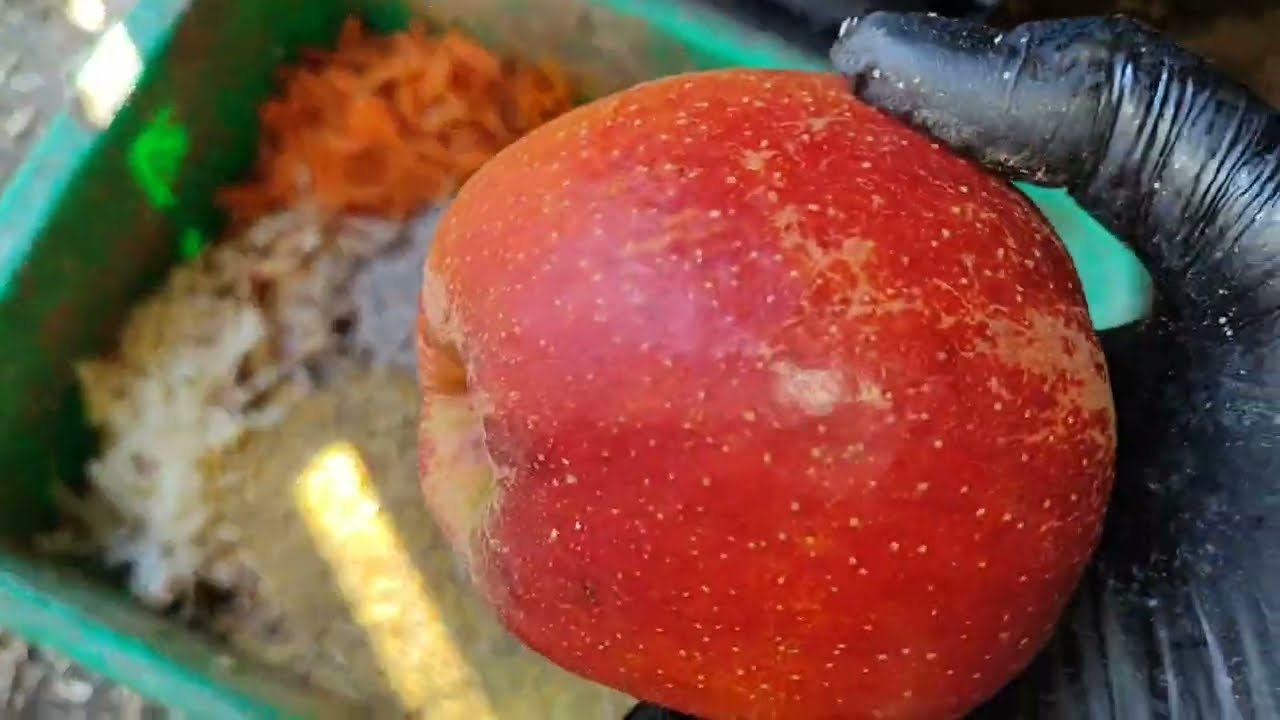 КУРОЧКА С УТКАМИ ЗНАКОМИТСЯ😊.ПЫТАЕМСЯ ЗАЩИТИТСЯ ОТ КРЫС📌СБОР ЯИЦ И МЕШАНКА КУРАМ.