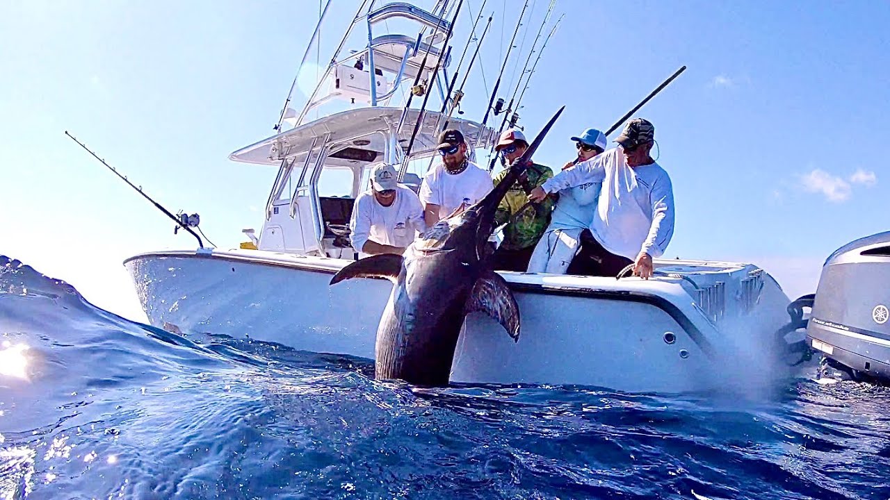 Swordfish with Capt. Nick Stanczyk 