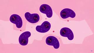 Allies in Action: Expanding Biomarker Coverage Training Video (2024)