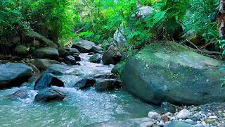 🌿 Relaxing River Stream Sounds for Sleep, Focus and Calm Mind 🎧