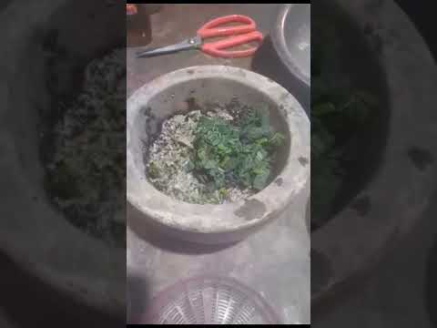 ابدجدج طجدج سجفباب فبدجدبدجدج ادجدجس سجف فندسبج سنطا نجداب فجادج سجسج فجف نجسج سجدب دجدجدج