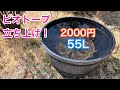「プランタービオトープ立ち上げ」メダカ　金魚　ビオトープ木枠　#shorts