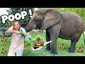 POOP SCOOPING  FOR MY ELEPHANT ! HOW MUCH WILL WE GET ?!