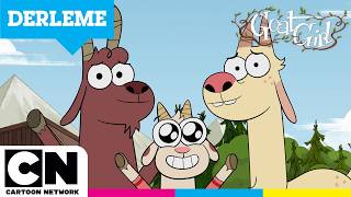 Keçi̇ Kiz Giginin İlgi̇nç Ailesi