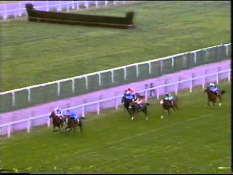 Frankie dettori magnificent 7 Frankie dettori magnificent 7