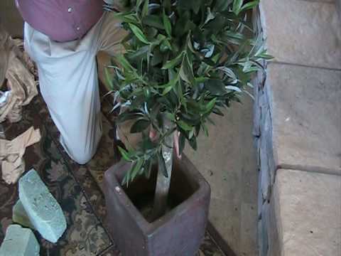How to pot an artificial plant