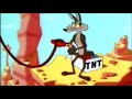 WILE IL COYOTE    Voci e tastiere Maurizio Castellazzo "Paco"