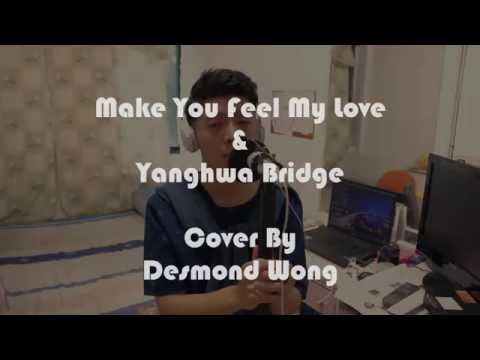 make you feel my love cover by desmond wong