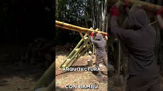 ESTRUCTURA 100% de BAMBÚ - Tucumán