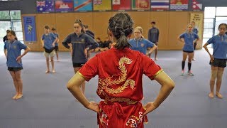 Wushu Workshops HD.