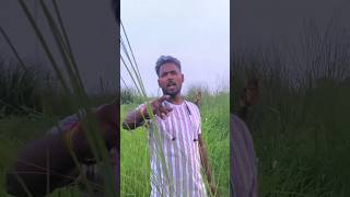 তোমার সবসময় পাসে আছি আমি 🫶🌹#Sanjay #Roy