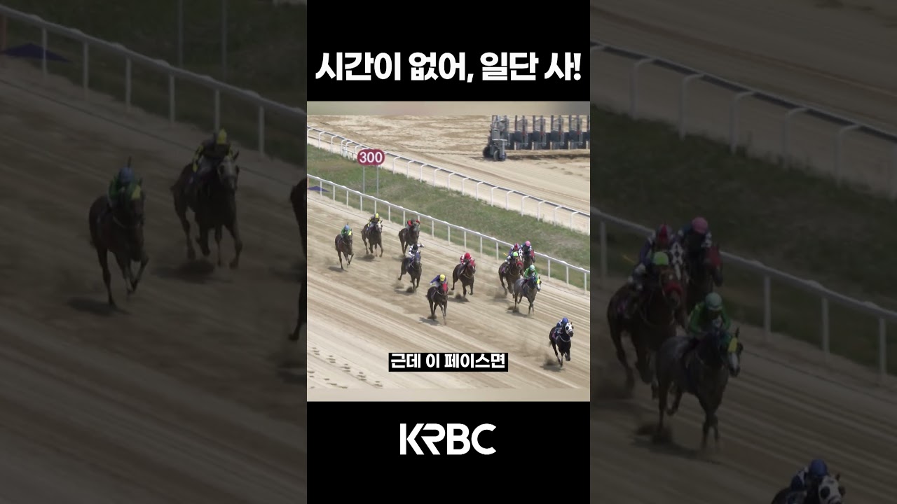 설명할 시간이 없어! #shorts #경마방송 #기수 #경주마 #경마 #KoreaHorseRacing