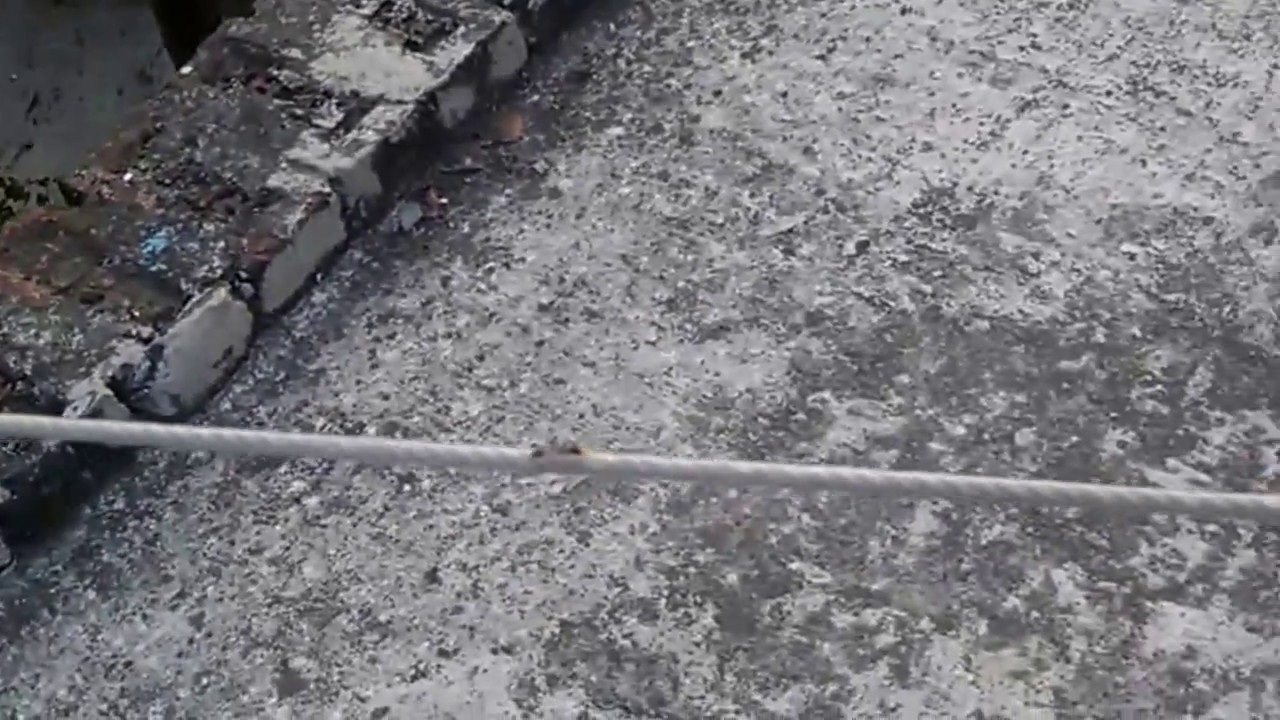 BUG ON A WIRE YouTube