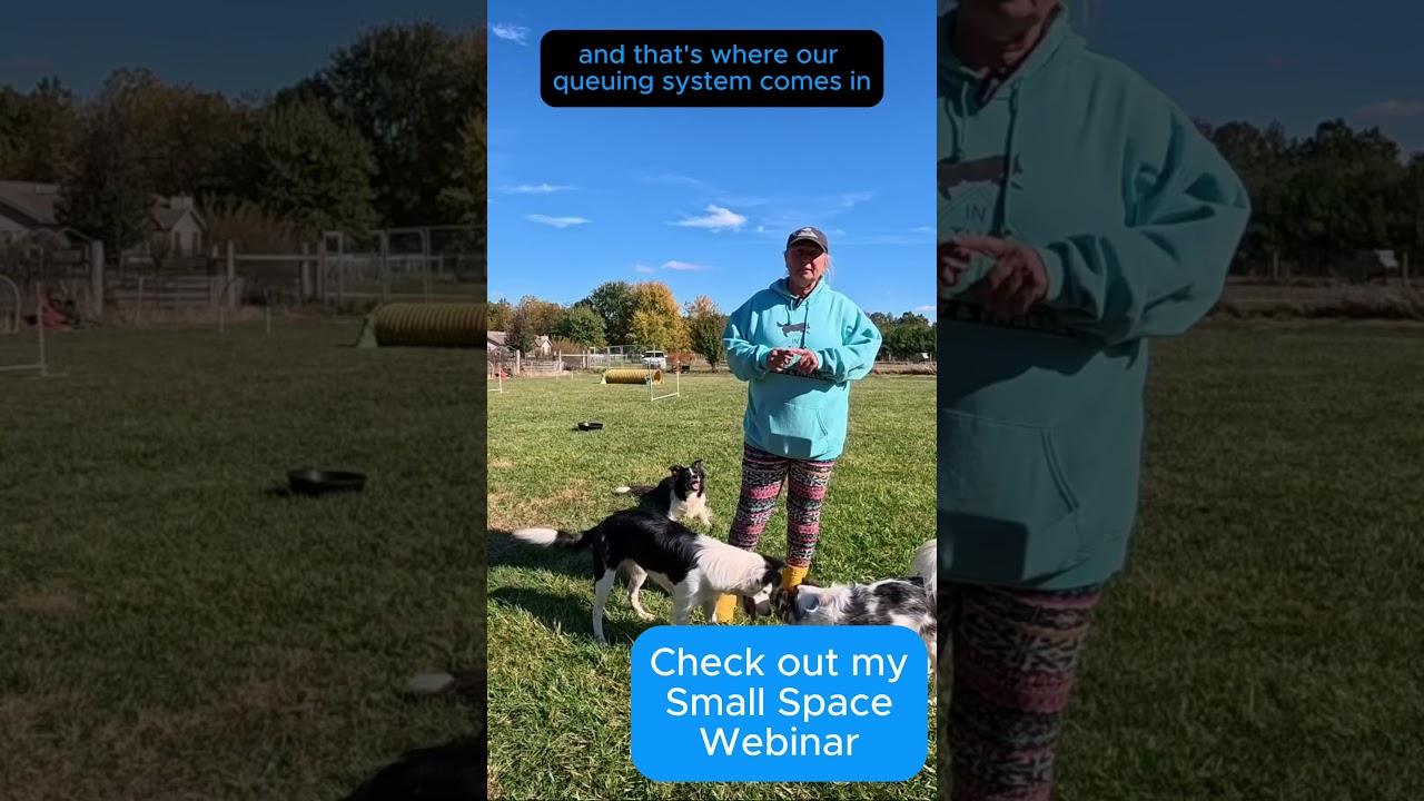 Dog Agility Small Space Webinar